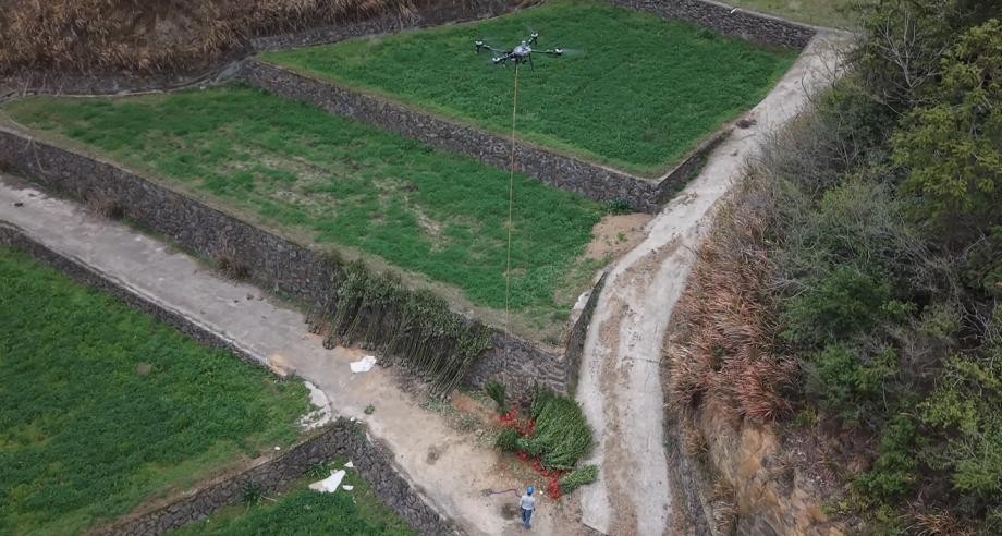 维护山林吊运树苗